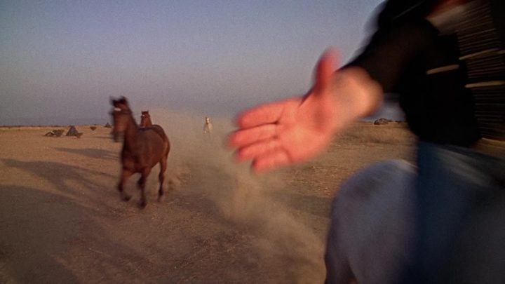Rider at full gallop reaching toward the lens